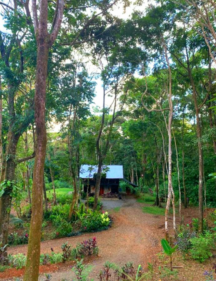 Cabaña Eco-Arte - B&B Tortuga Arriba