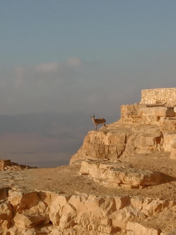 B&B Mitzpe Ramon - Heaven on erth - Bed and Breakfast Mitzpe Ramon