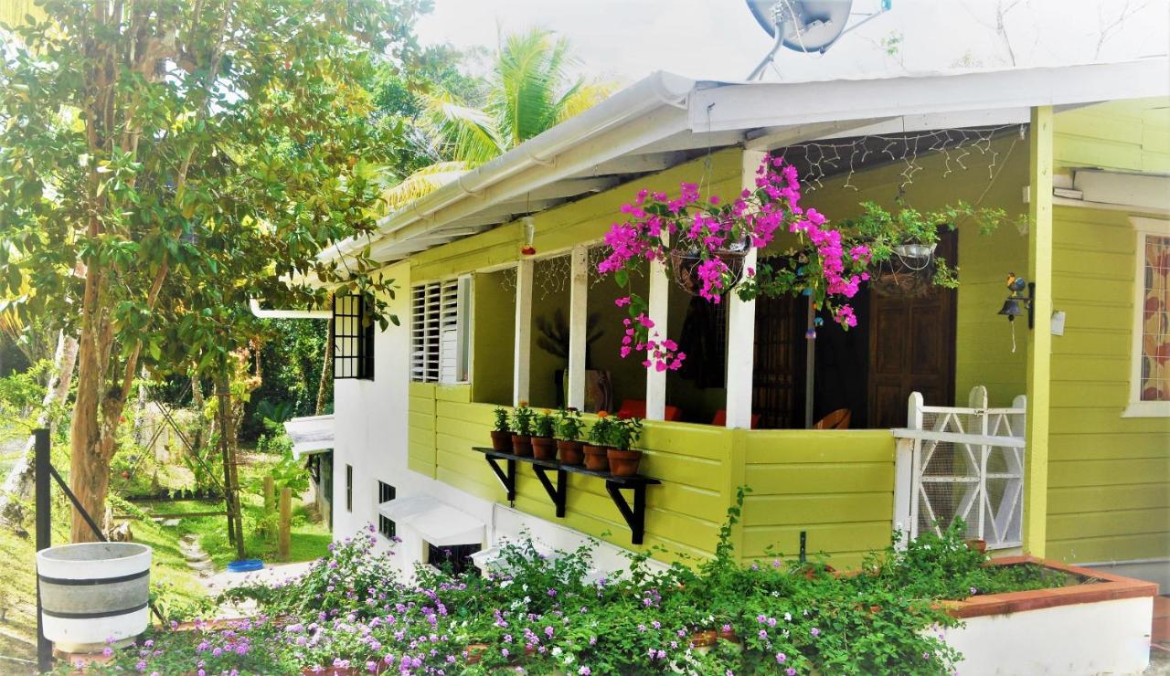 Leatherback Lodge Eco B&B - B&B Salybia
