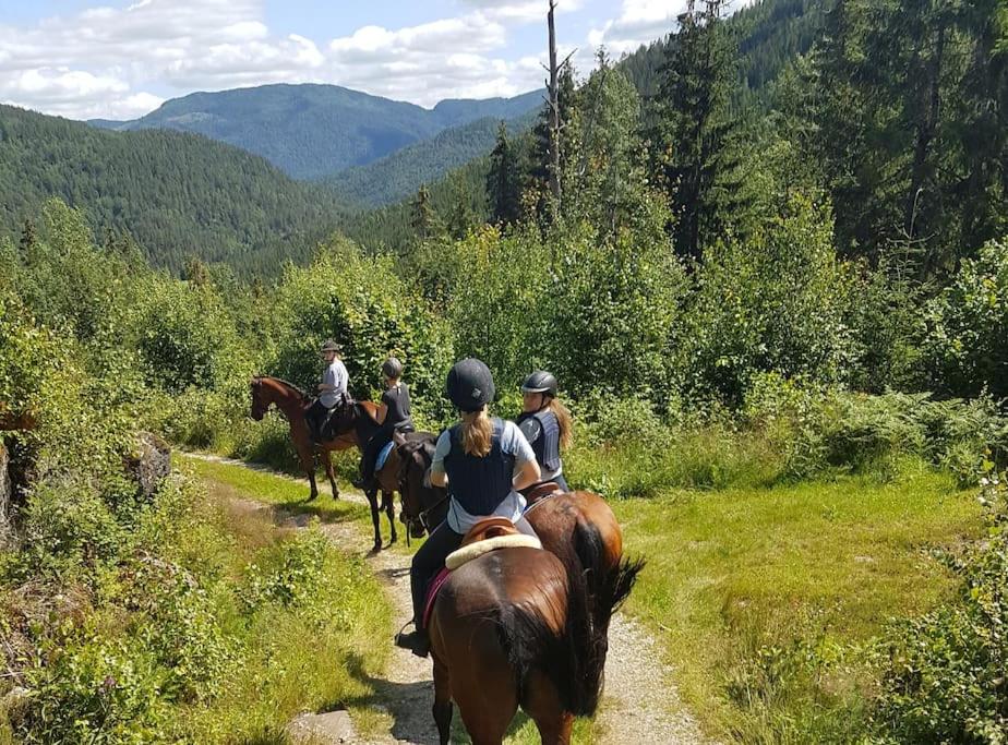 River Run Ranch - Telemark - Bed and Breakfast