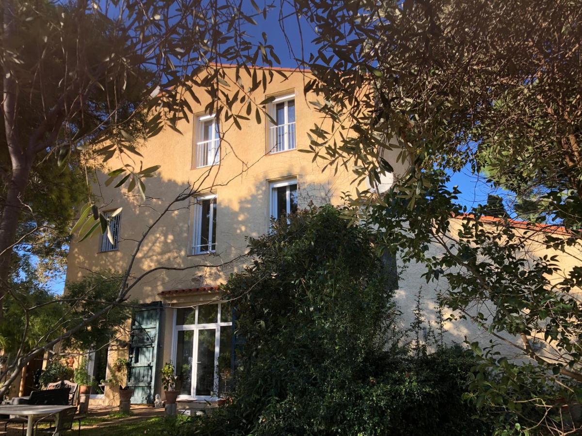 Duplex 130m2 dans un mas entouré de vergers - piscine - B&B Saint-Féliu-d'Avall