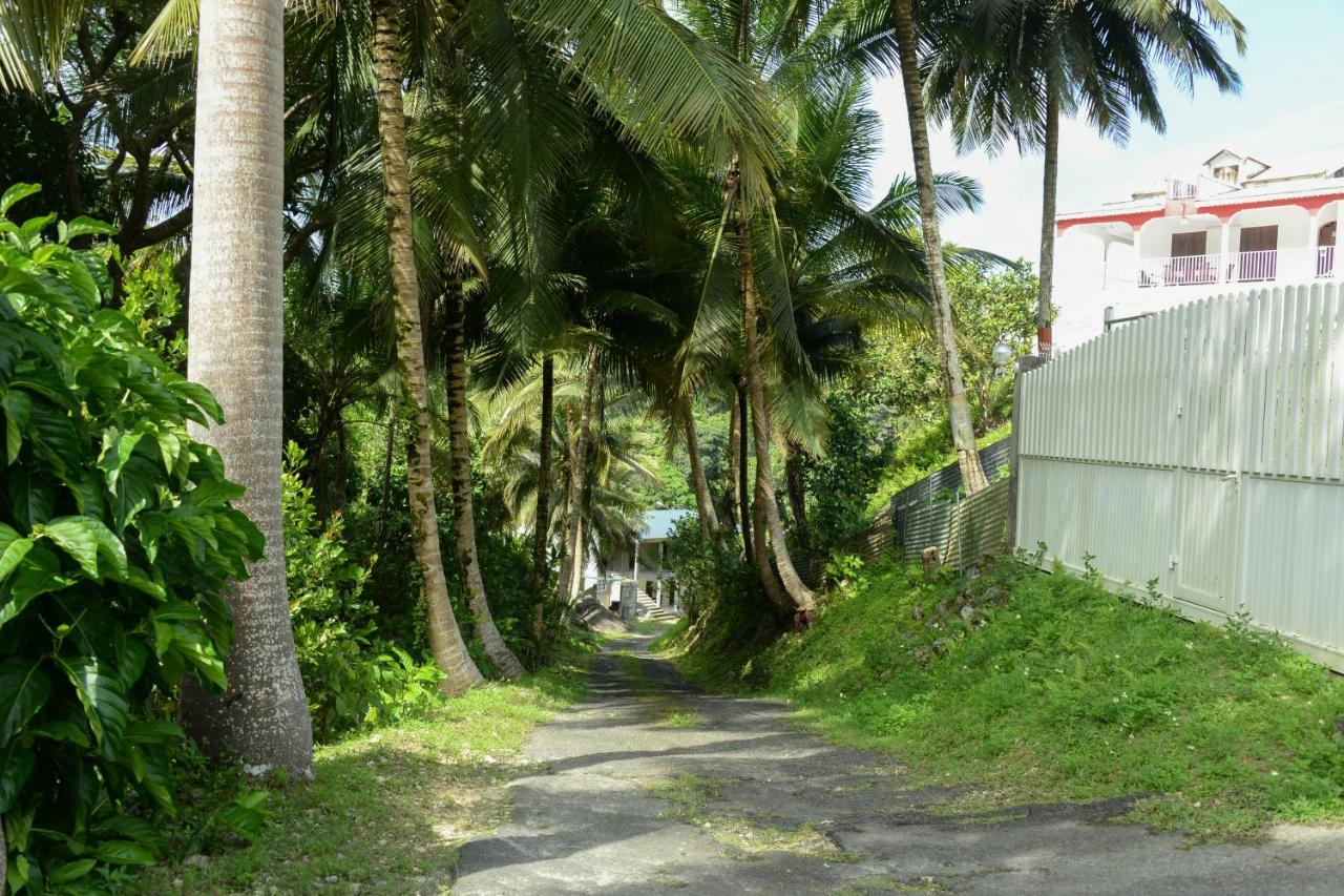 B&B Le Moule - Chez Tatie-Clo devient Gray Coconut Cake - Bed and Breakfast Le Moule