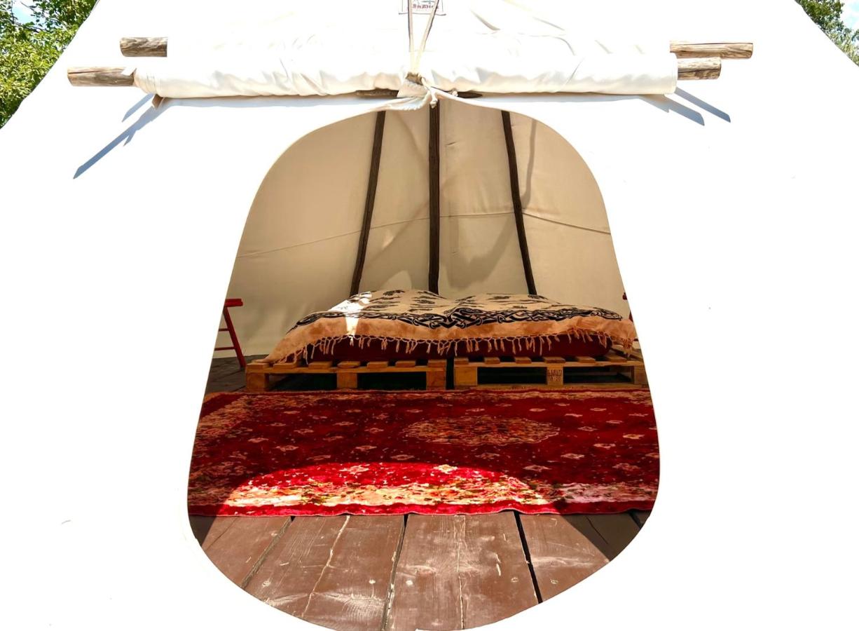 Tipi