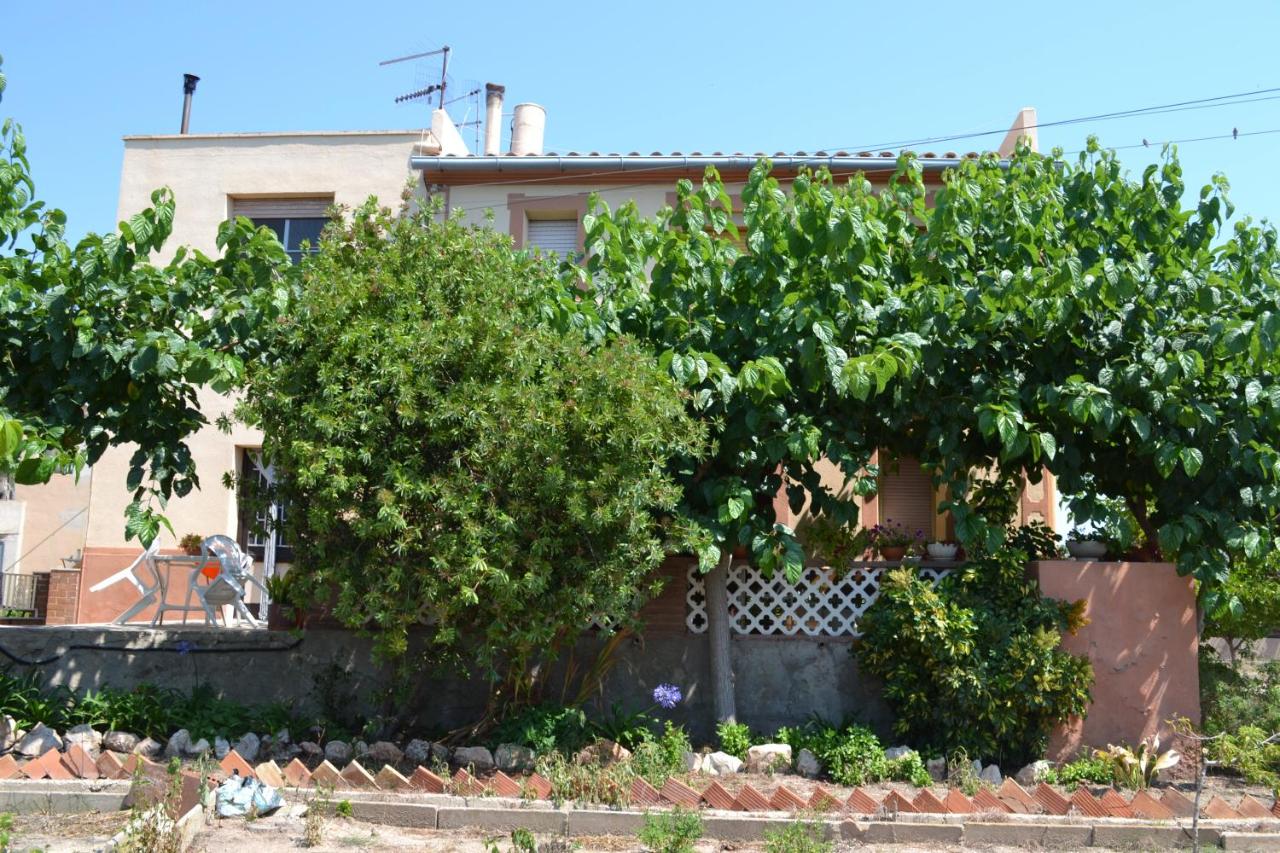 Allotjament Casa M Cinta - B&B Deltebre