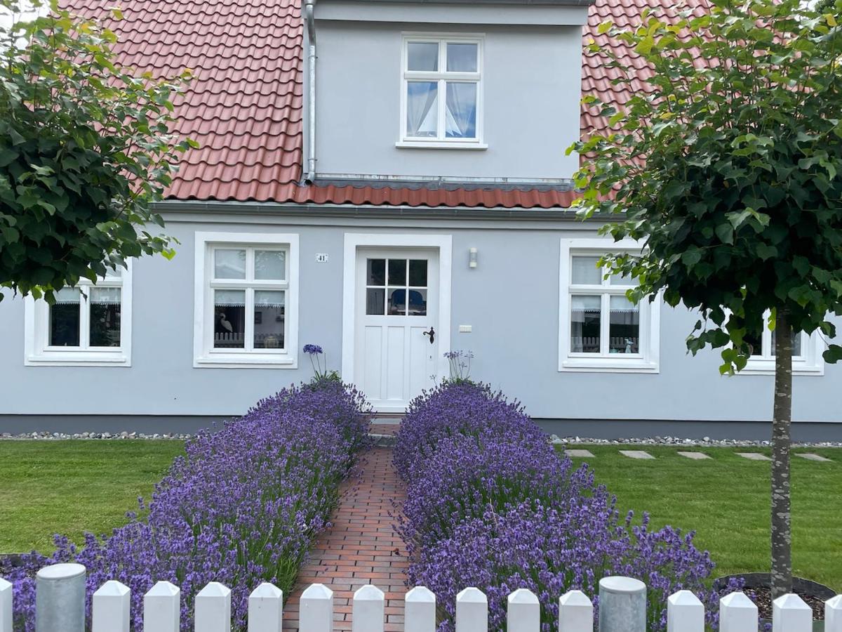 B&B Greifswald - Haus Vicus - Bed and Breakfast Greifswald