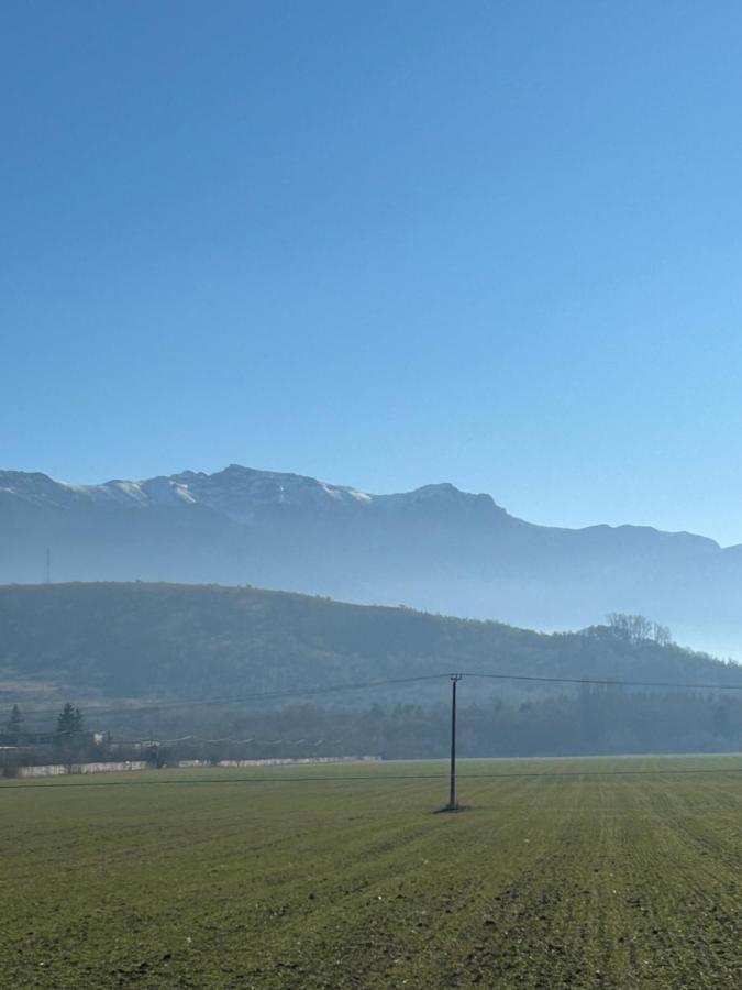 Casa Bunicilor - B&B Colonia Şase Martie