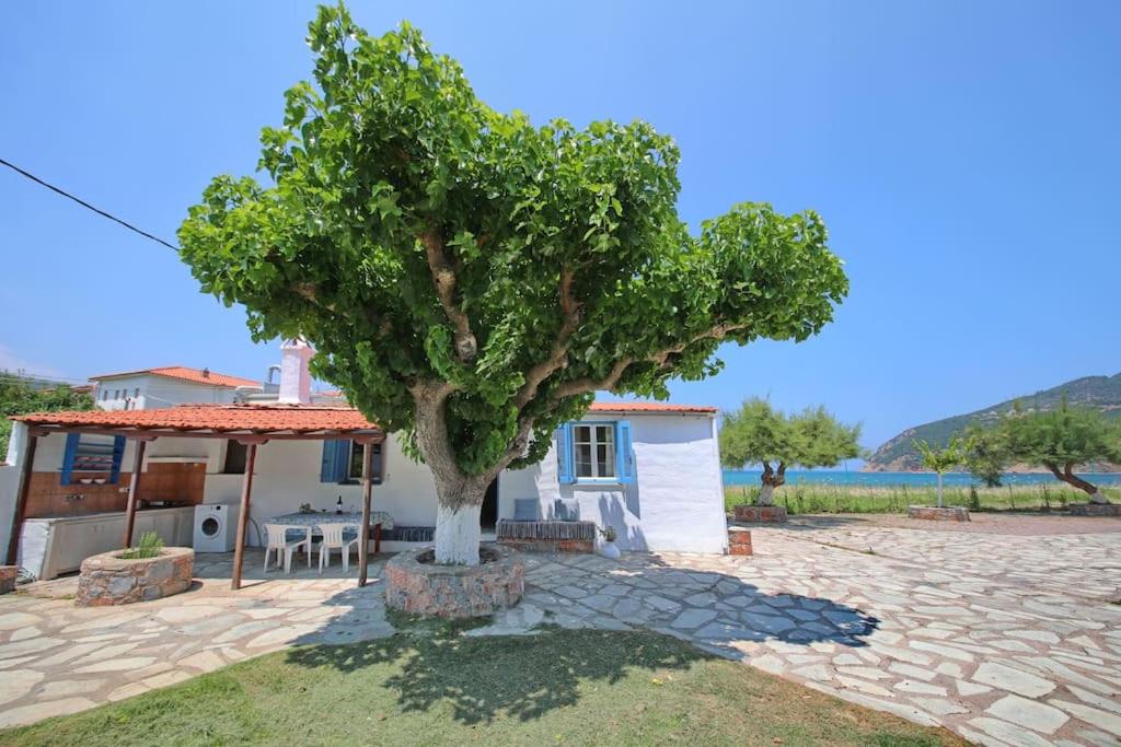 B&B Skopelos Town - Skopelos Beach house - Bed and Breakfast Skopelos Town