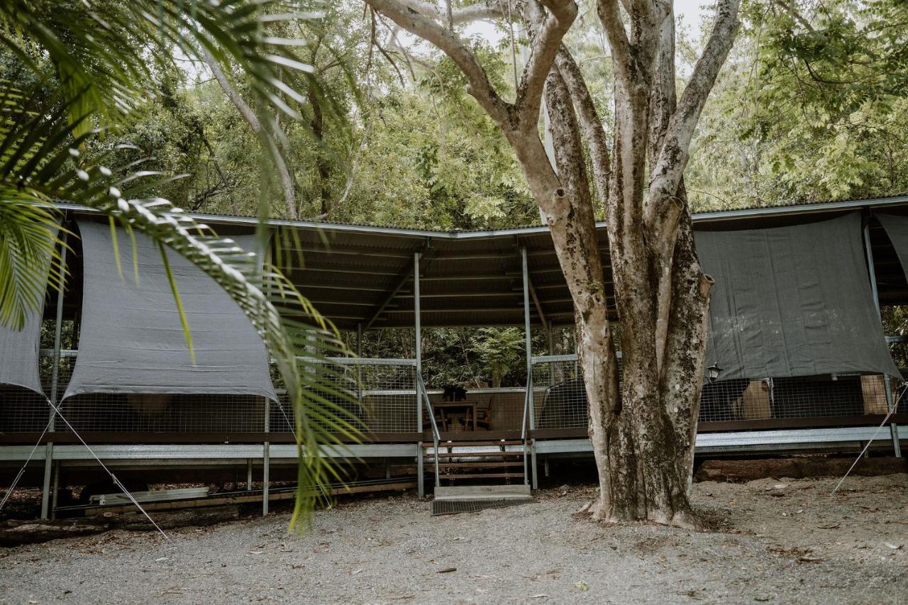 Eenpersoonsbed in een Gemengde Slaapzaal met 6 Bedden