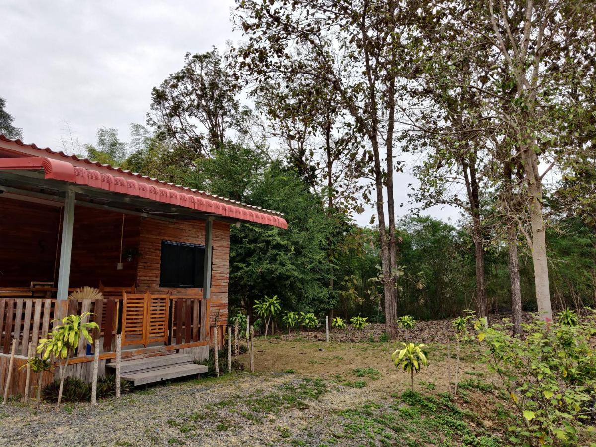 สายฝนการ์เด้น - Bed and Breakfast