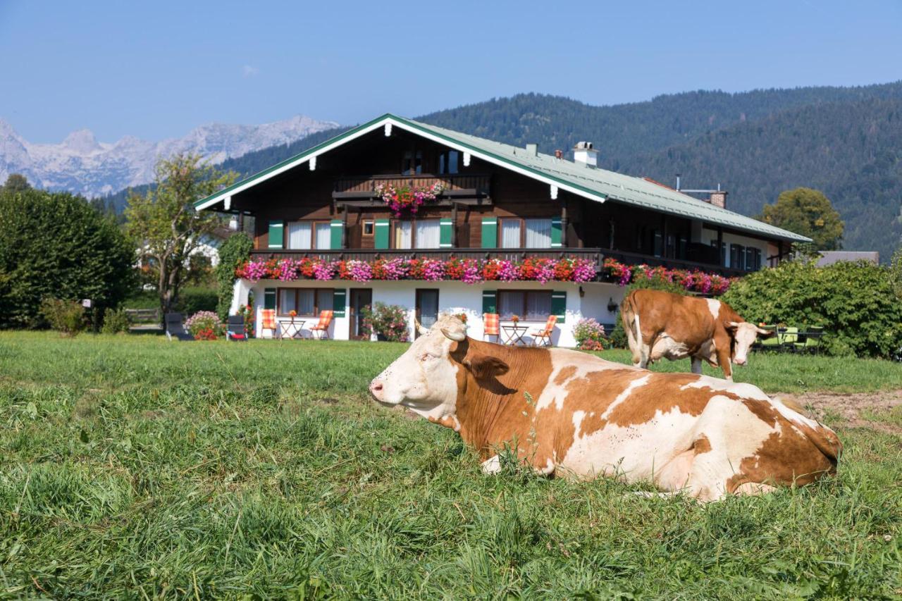 B&B Schönau a.Königssee - Ferienwohnung Drachllehen - Bed and Breakfast Schönau a.Königssee