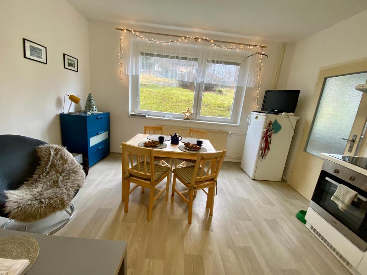 Slunný byt v Jizerských horách 5 postelí - B&B Tanvald