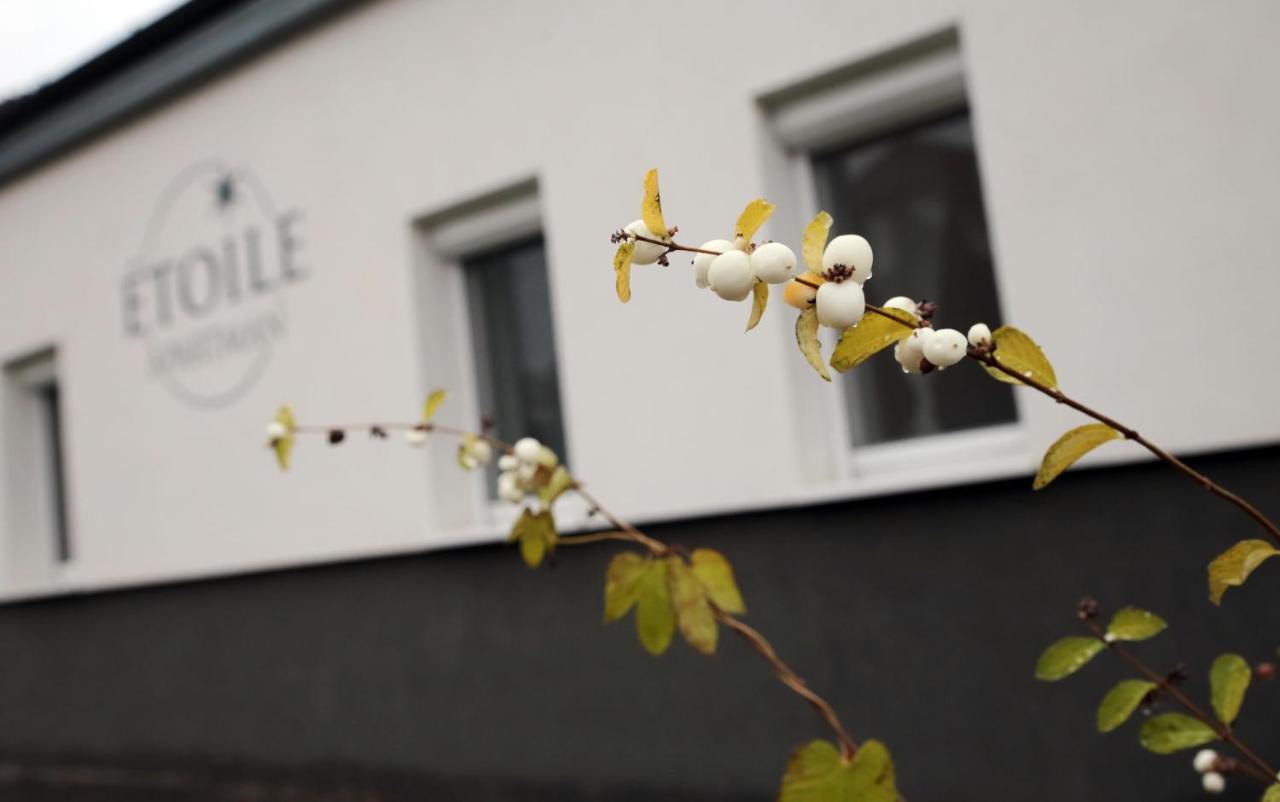 Étoile Apartman - B&B