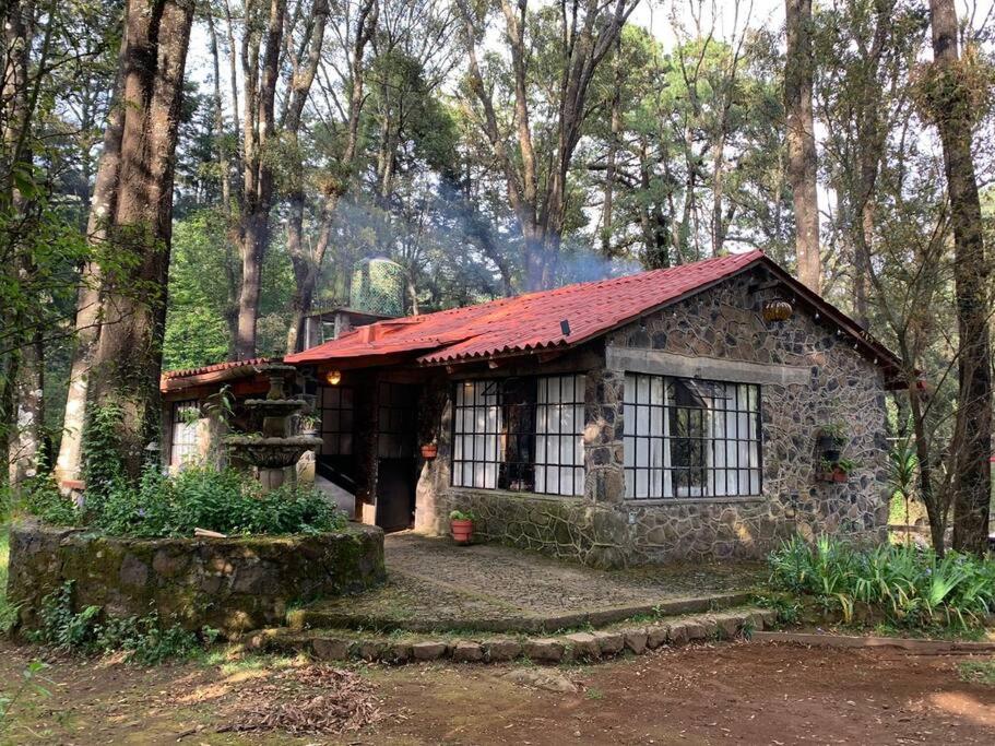 Hermosa cabaña en el bosque - B&B