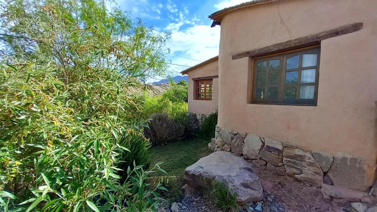 MAMAICUNA CABAÑA - B&B Tilcara