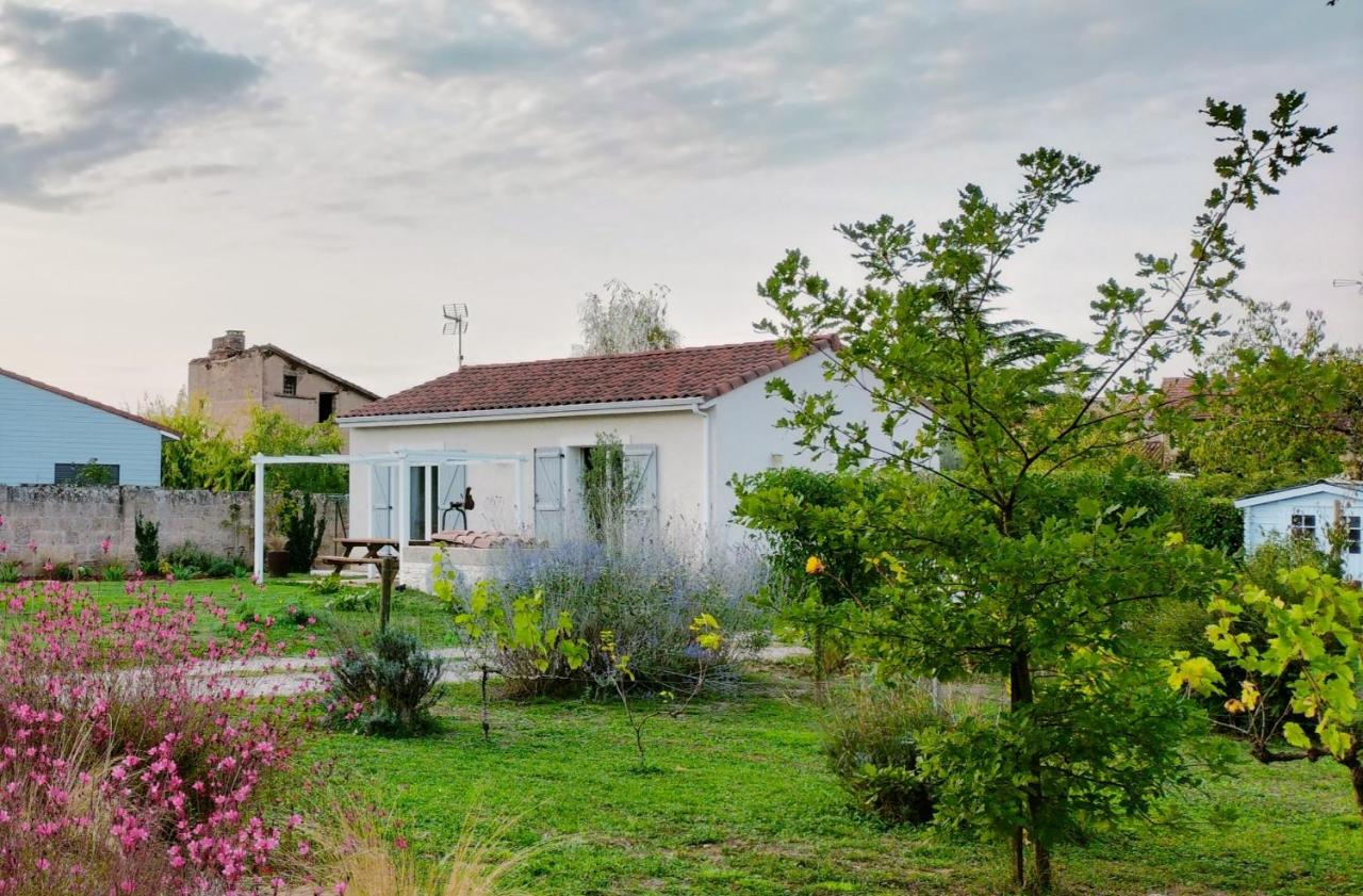 B&B Gaillac - Gite Le Cherche Midi - Bed and Breakfast Gaillac