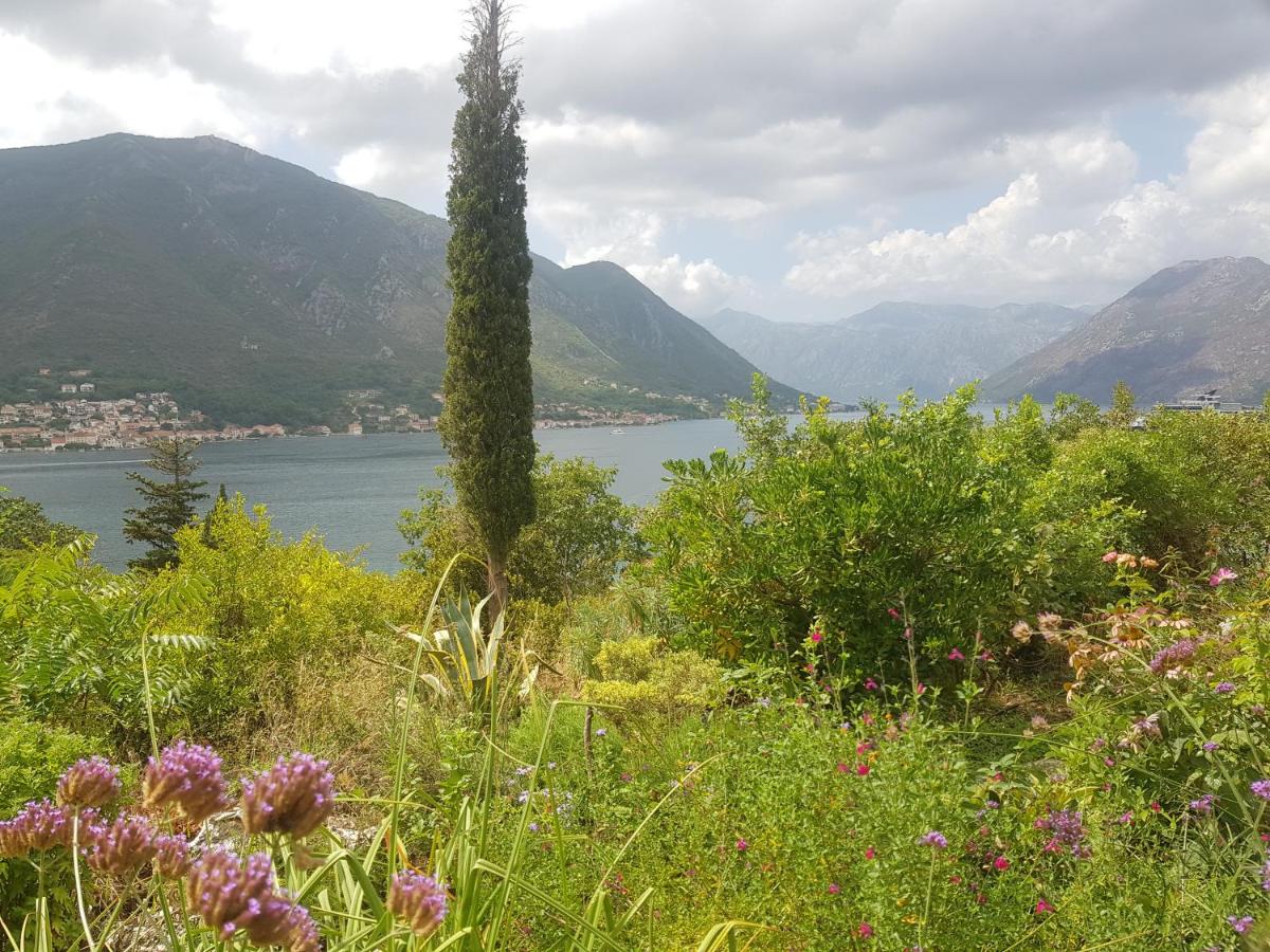 Biser lux - Kotor Bay - Sea view & Swimming Pool - B&B Kamenarovići