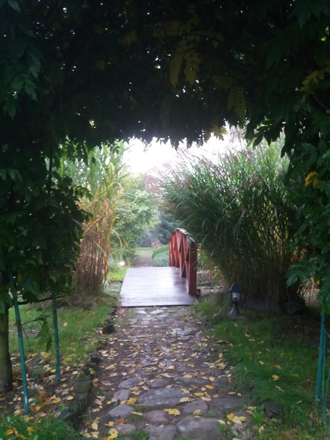 Domek blisko granicy u Darka - B&B Kunowice