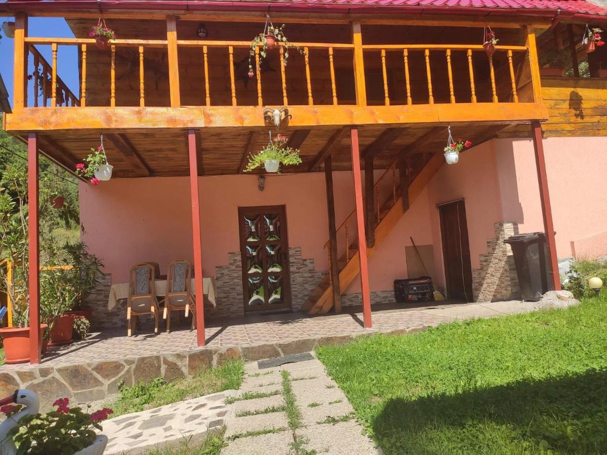 Pensiunea Trei brazi Scărișoara - B&B