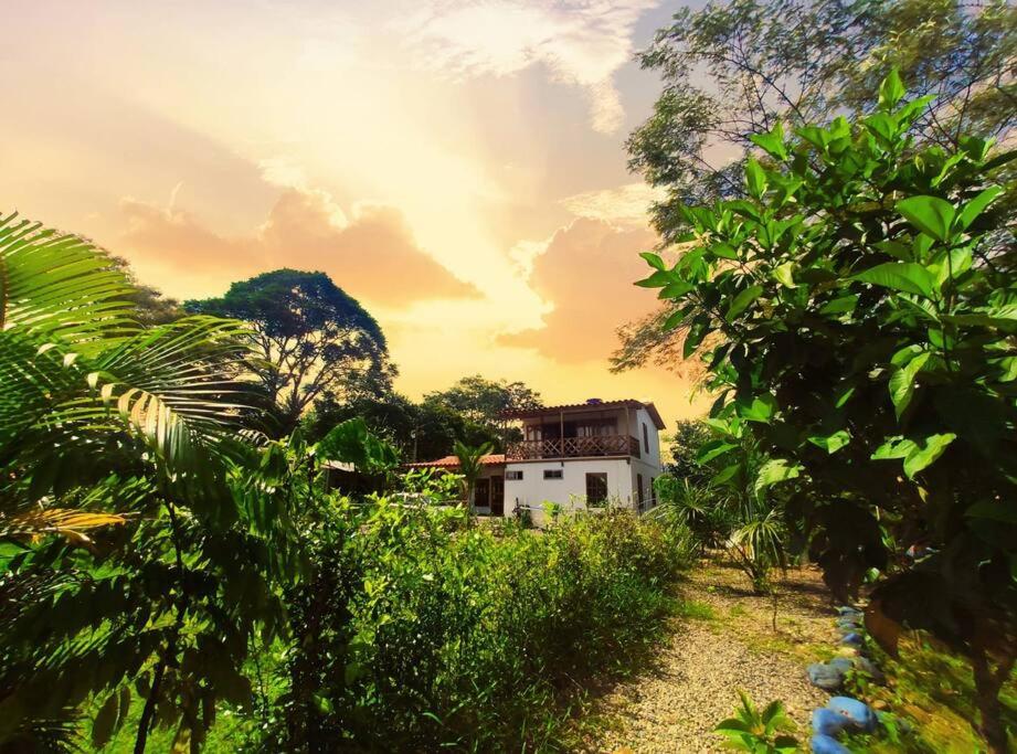Espectacular Casa-Bonobohouse al lado del rio con reserva natural - B&B Acacías