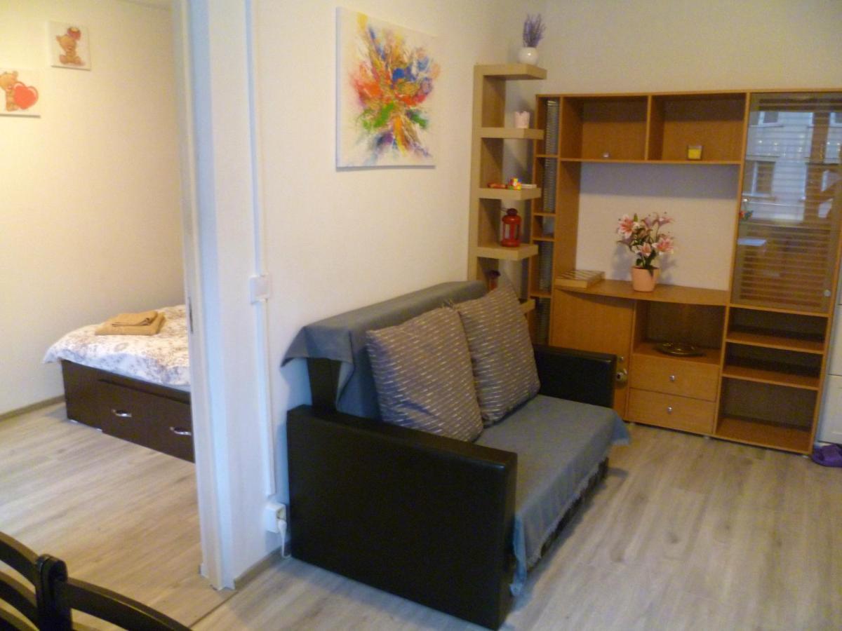 Romanilor - Studio First Floor - Chambres d’hôtes Deva