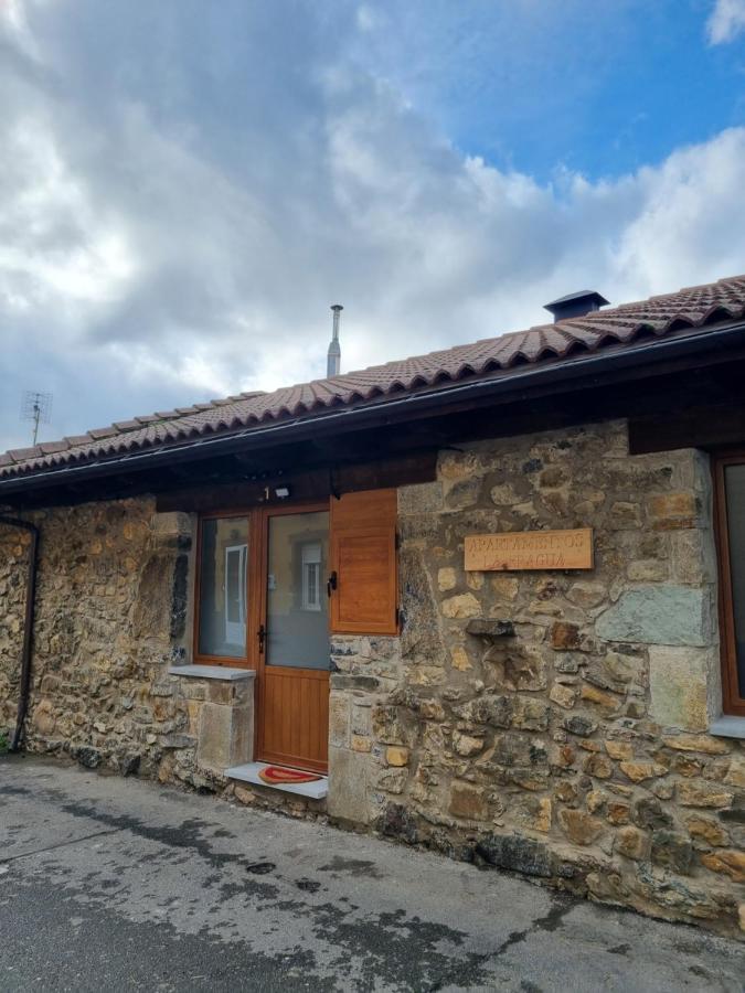 Apartamento La Fragua 1 - B&B Cofiñal