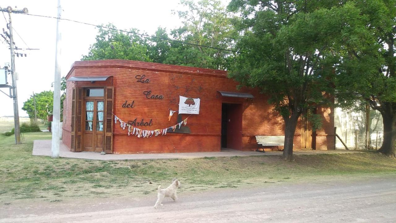 B&B Carmen de Areco - La Casa del Árbol - Bed and Breakfast Carmen de Areco