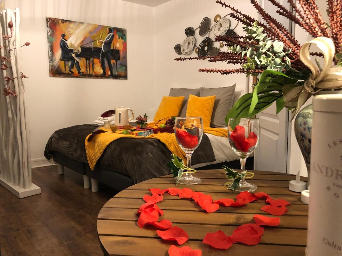 LES APPART'S DES DEMOISELLES DE ROCHEFORT - Bed and Breakfast
