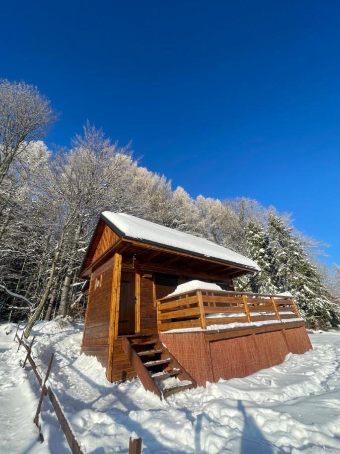 Babia Raj Zawoja - Bed and Breakfast