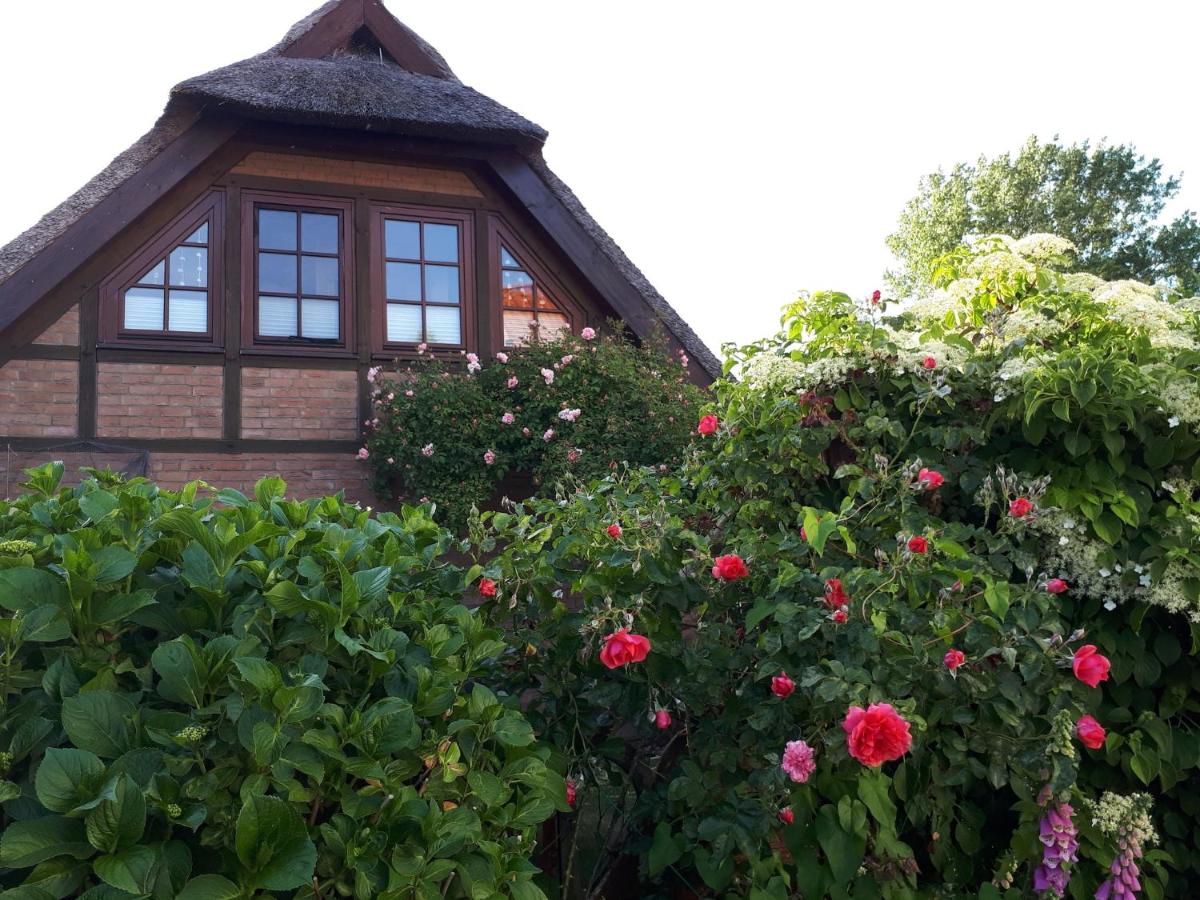 B&B Fuhlendorf - Darssblick - Bed and Breakfast Fuhlendorf