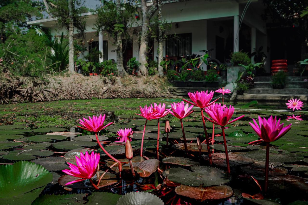 B&B Mararikulam - Marari Ebin Charlys - Bed and Breakfast Mararikulam