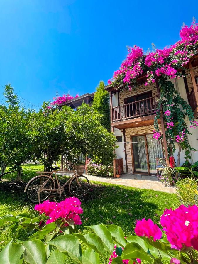Faralya Misafir Evi - B&B