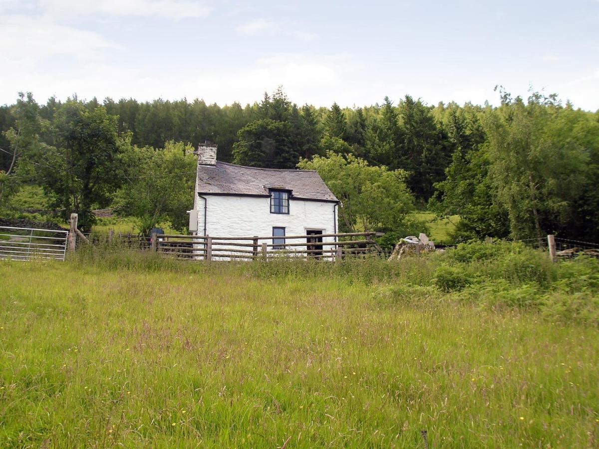 B&B Llandrillo - Crogen Bryn Awel - Bed and Breakfast Llandrillo