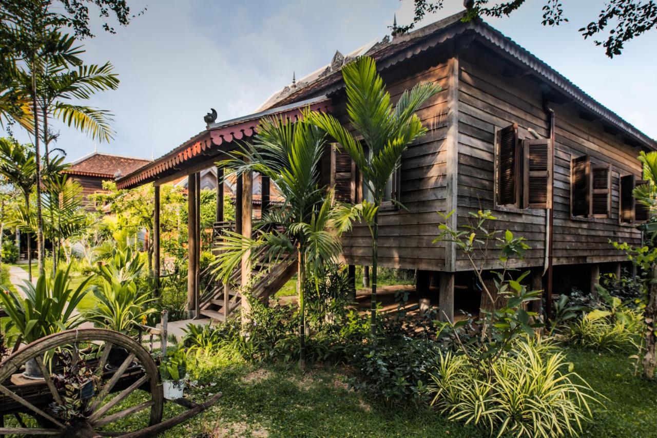 Suite Lodge