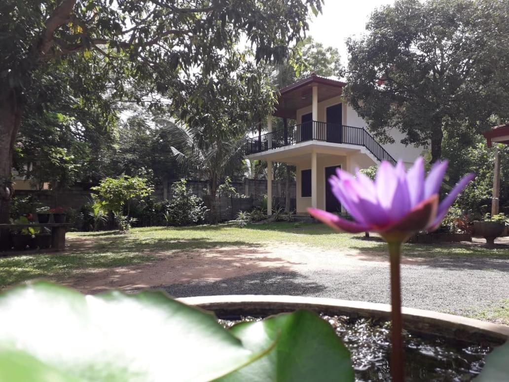 Blue Point Rest - B&B Tangalle