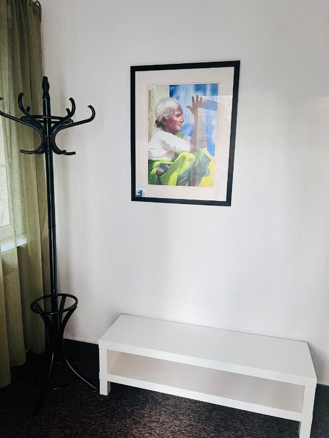 BL - The Townhouse, 24hr Self Check-in, Free Private Parking, Garden, Adjacent to beautiful City Park, City Centre 5 min walk - Chambres d'hôtes Banská Bystrica