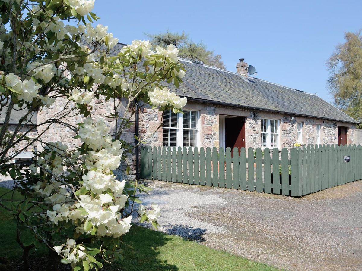 B&B Lochend - Song Bird Cottage - Bed and Breakfast Lochend