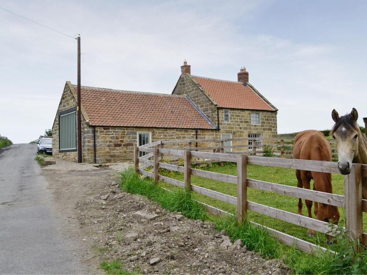 B&B Skinningrove - Shrubberies Cottage - Dc5472 - Bed and Breakfast Skinningrove