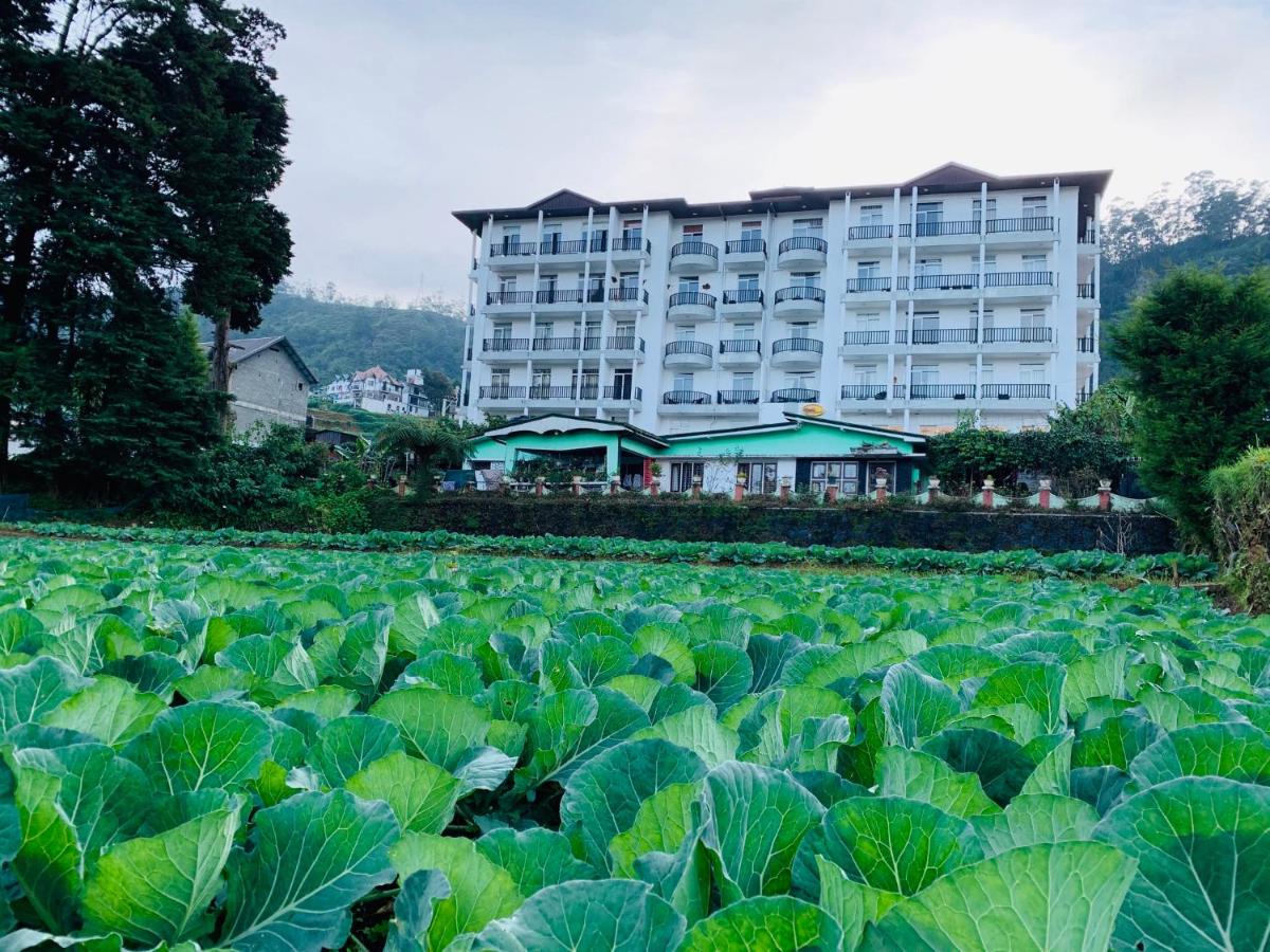 City Apartment’s Nuwara Eliya - B&B Nuwara Eliya