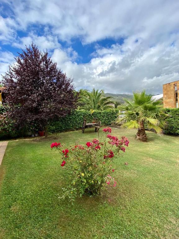 Casona La Teja en Ribadedeva - Ferienwohnung Noriega