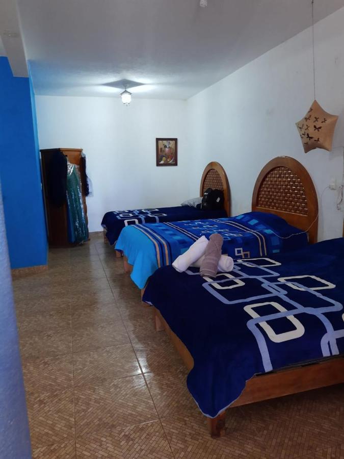 Habitación Triple Estándar 