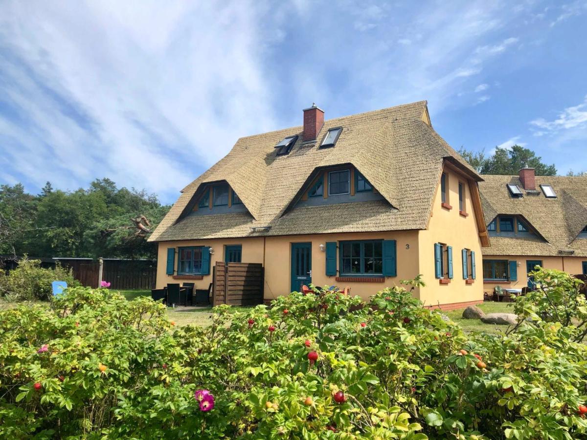 Ferienhof am Fischland Flügge - B&B