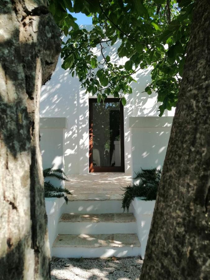 Intornoalnoce suites - Chambres d’hôtes Cisternino