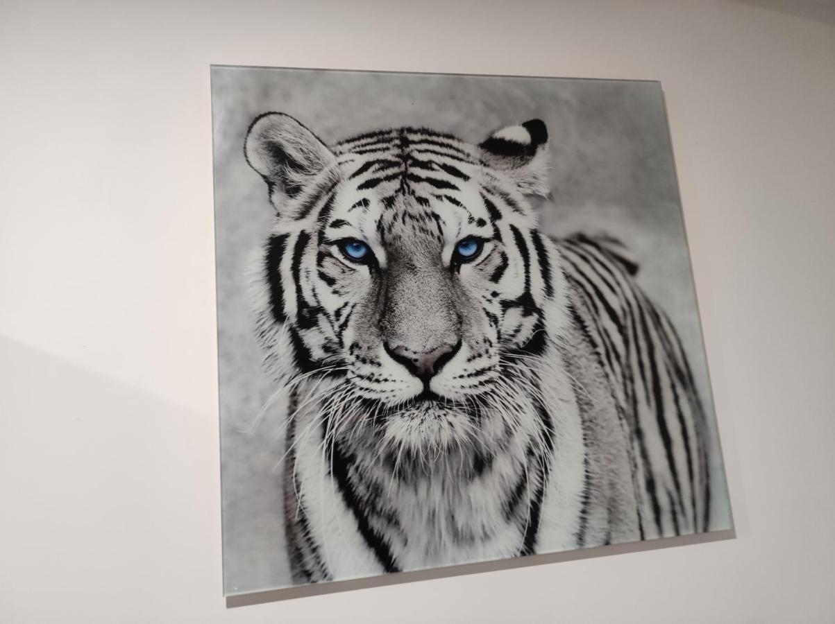 Eye of the Tiger. Apartament w centrum Mrągowa.