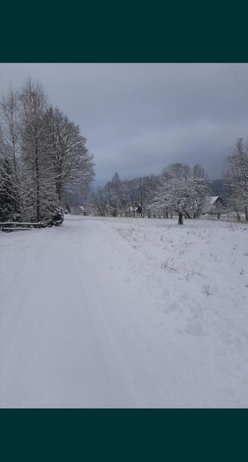Zakątek pod Lipką - Ferienwohnung Stary Gierałtów