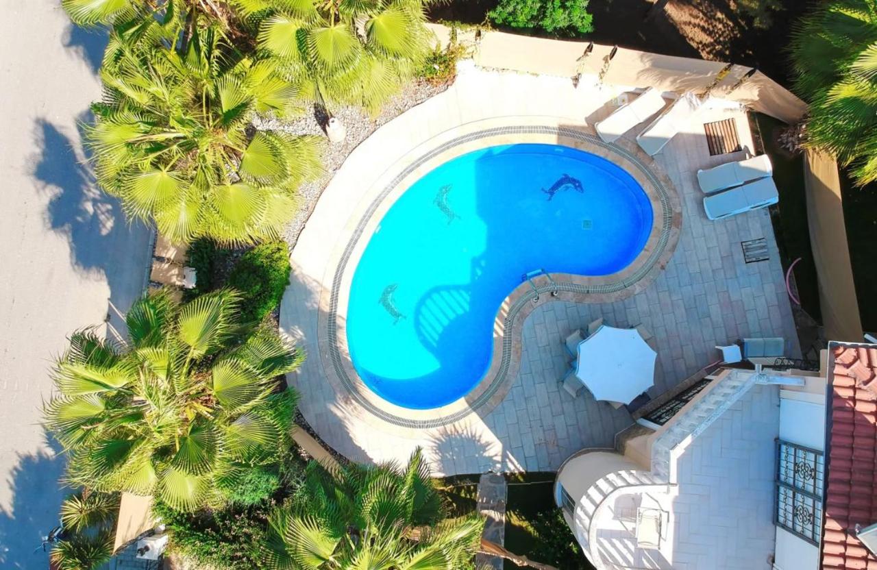 B&B Belek - Exceptional Villa with Private Pool in Antalya - Bed and Breakfast Belek