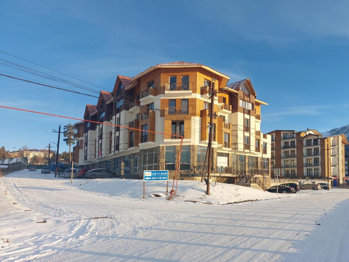 Bakuriani Mix Apartment 207 - Bed and Breakfast