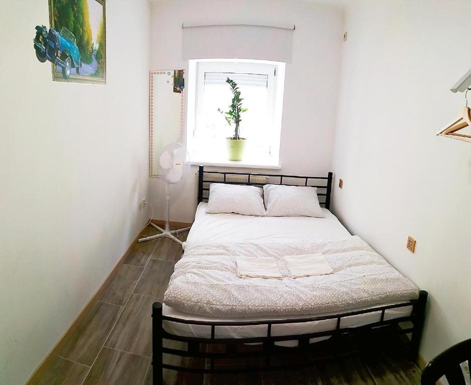 Double Room with Shared Bathroom