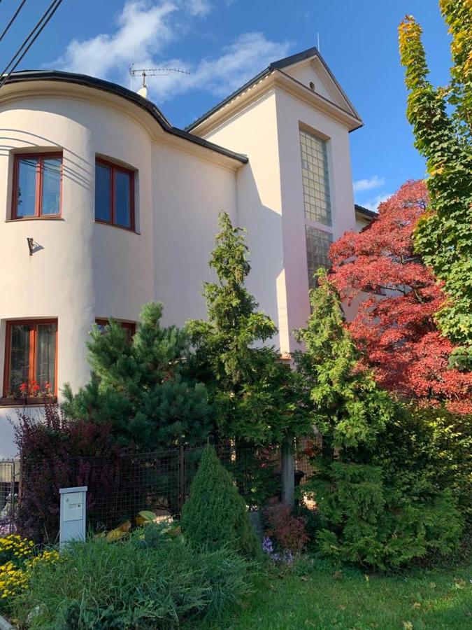 Apartmán Dobrá Naděje - B&B