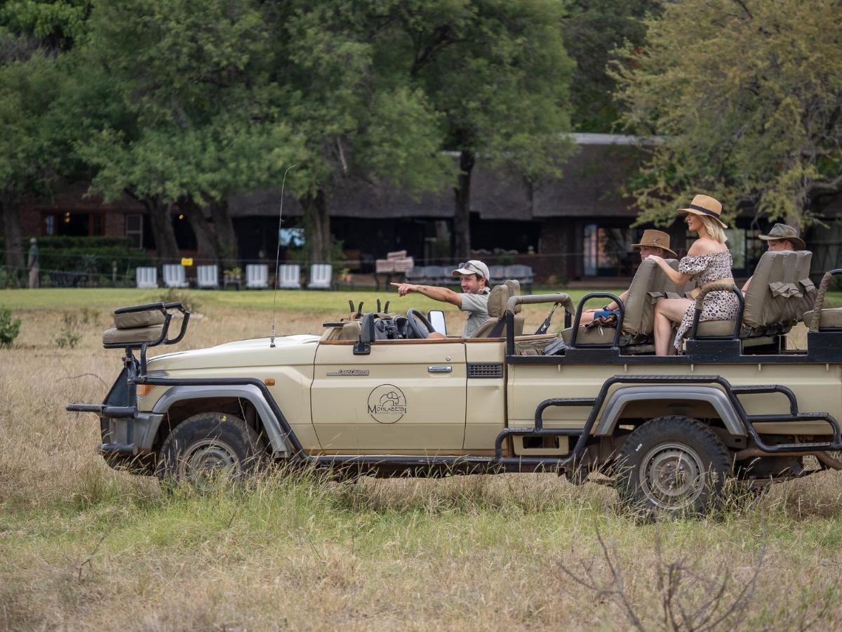 B&B Hoedspruit - Mohlabetsi Safari Lodge - Bed and Breakfast Hoedspruit