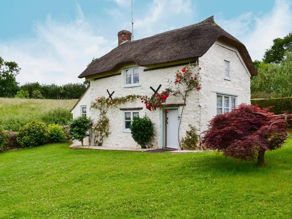 B&B Netherbury - Little Thatch - Bed and Breakfast Netherbury